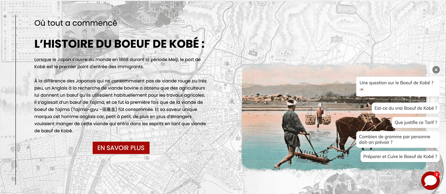 Brand Partner customer success story illustration